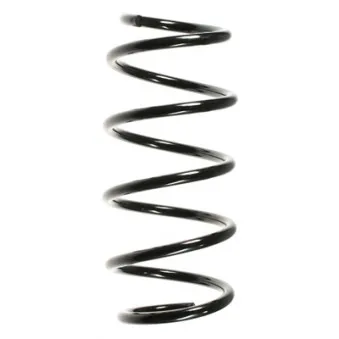 Ressort de suspension SPIDAN 55963