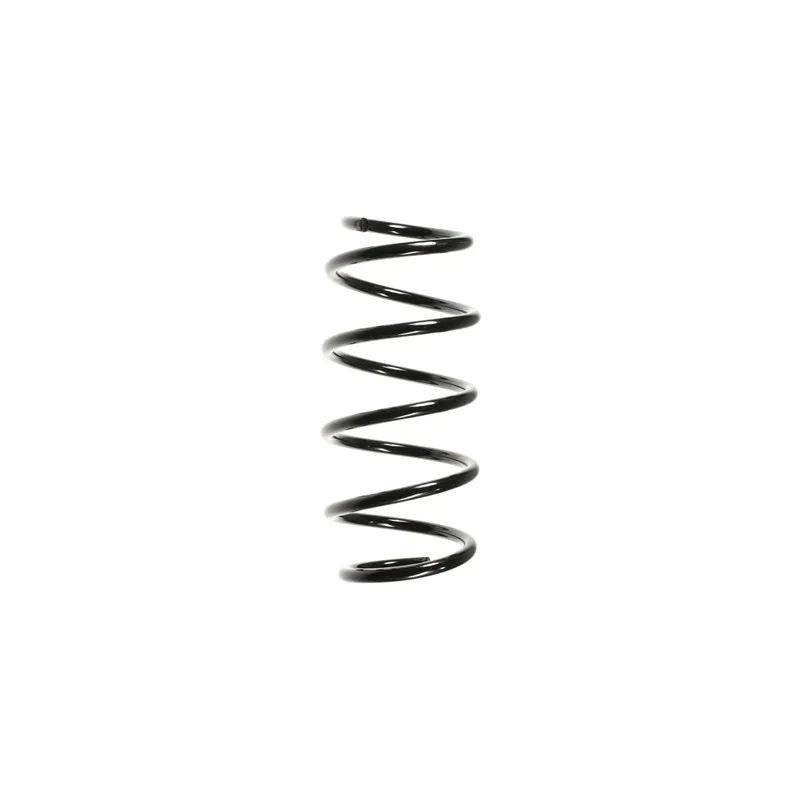 Ressort de suspension SPIDAN 55963