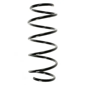 Ressort de suspension SPIDAN 55964
