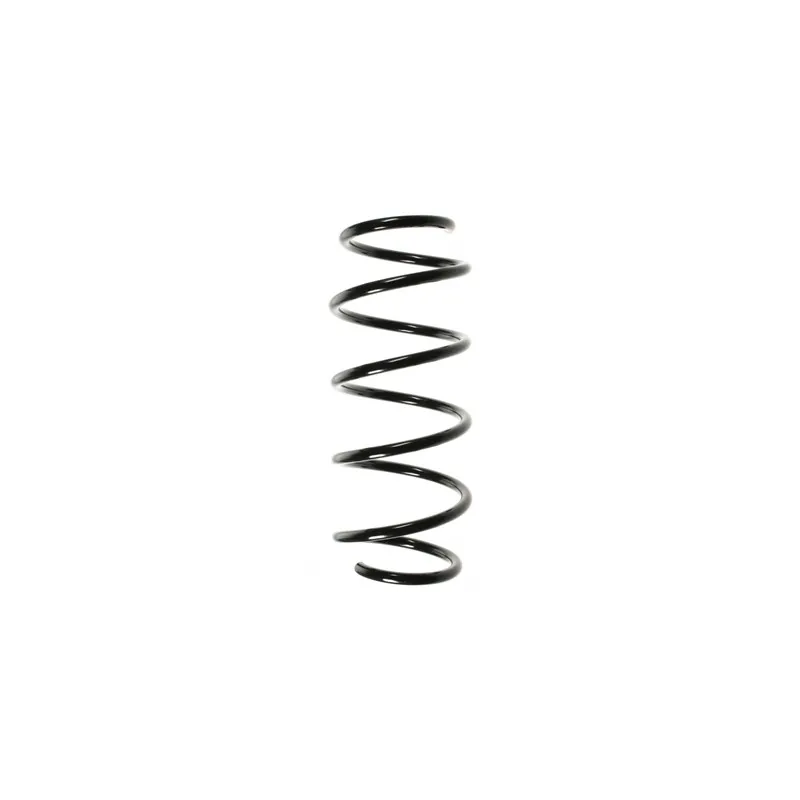 Ressort de suspension SPIDAN 55964