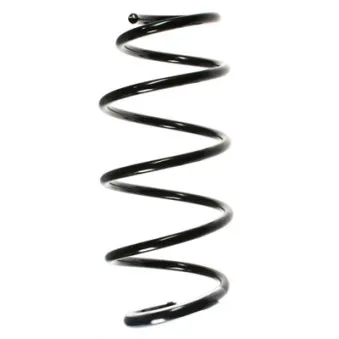 Ressort de suspension SPIDAN 55965