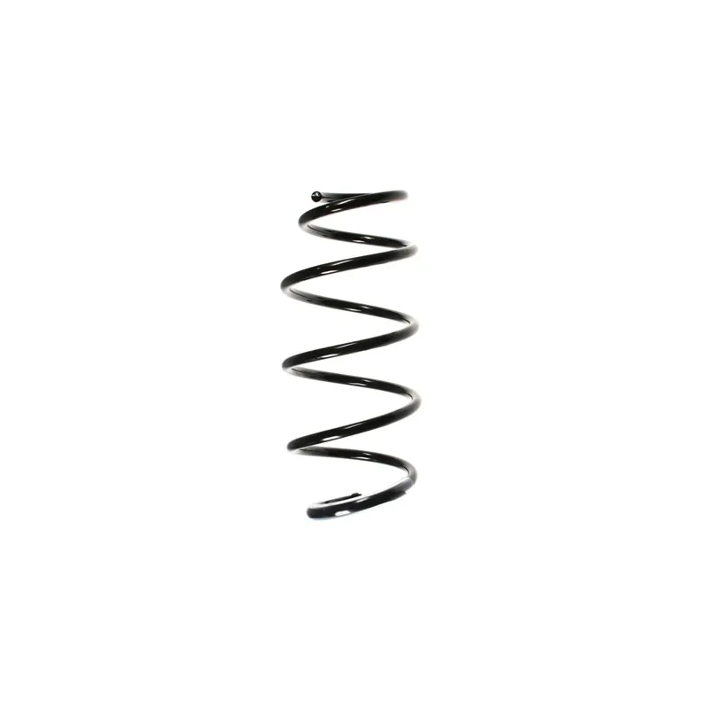 Ressort de suspension SPIDAN 55965
