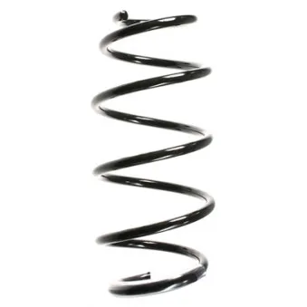 Ressort de suspension SPIDAN 55966