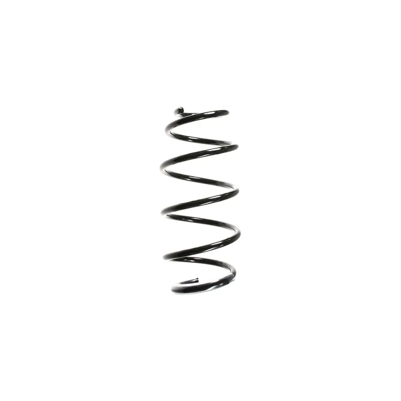 Ressort de suspension SPIDAN 55966
