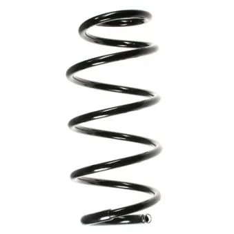 Ressort de suspension SPIDAN 55967