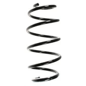 Ressort de suspension SPIDAN 55968