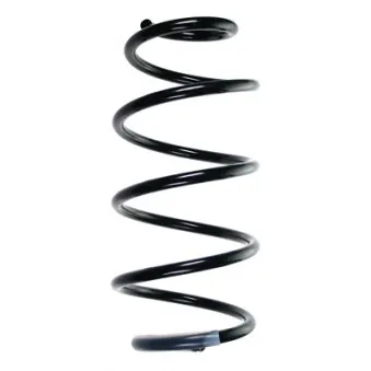Ressort de suspension SPIDAN 55971