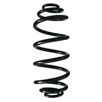 Ressort de suspension SPIDAN 55972