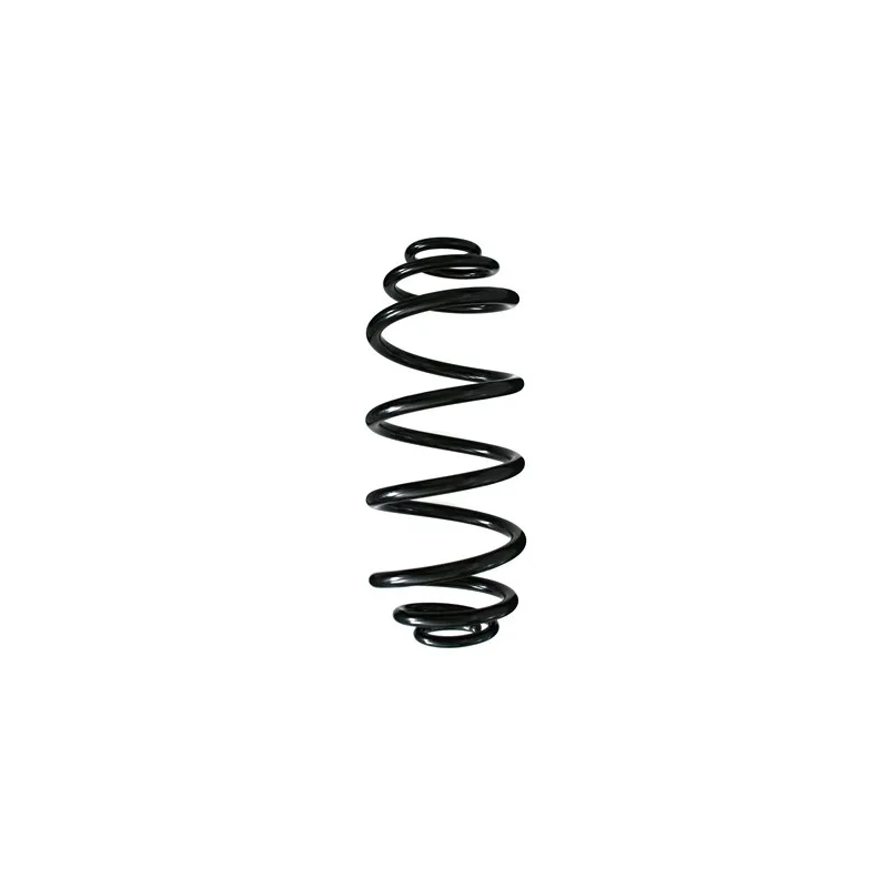 Ressort de suspension SPIDAN 55972