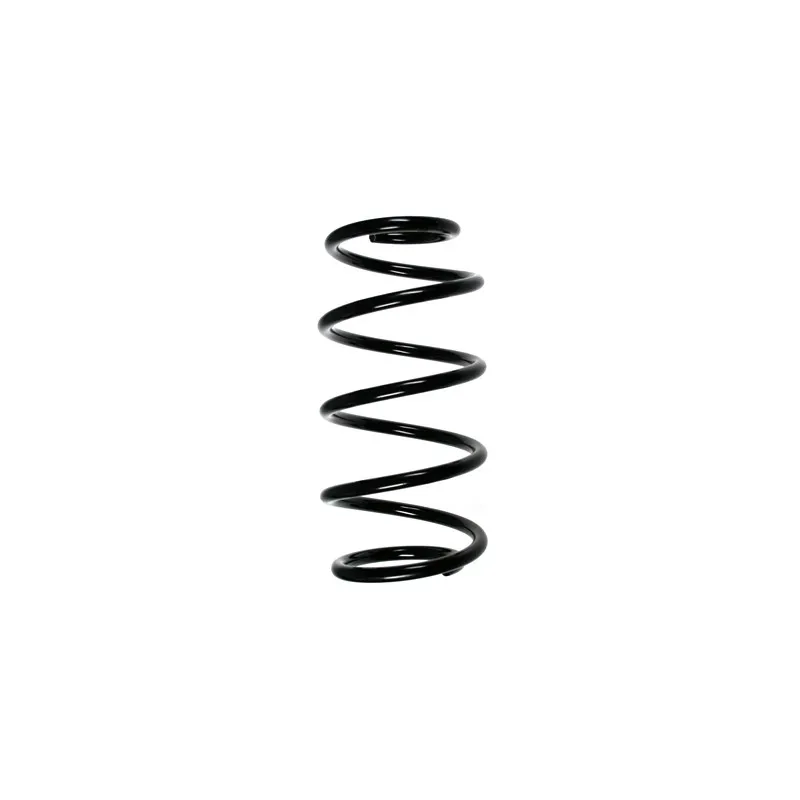 Ressort de suspension SPIDAN 55973