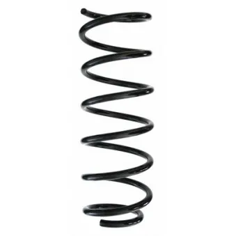 Ressort de suspension SPIDAN 55974