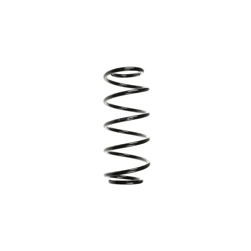 Ressort de suspension SPIDAN 55977
