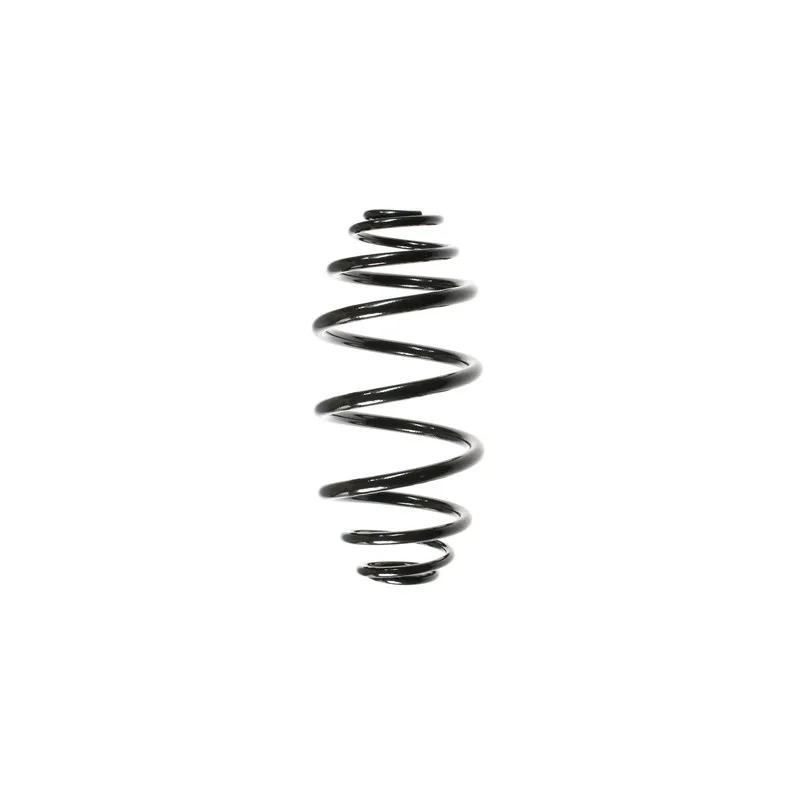 Ressort de suspension SPIDAN 55978