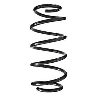 Ressort de suspension SPIDAN 55979