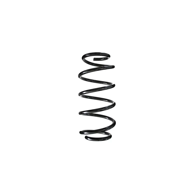 Ressort de suspension SPIDAN 55979
