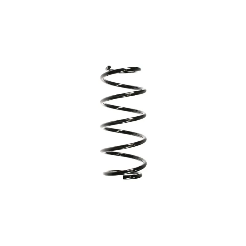 Ressort de suspension SPIDAN 55980