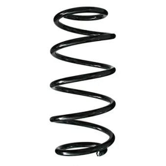 Ressort de suspension SPIDAN 55981