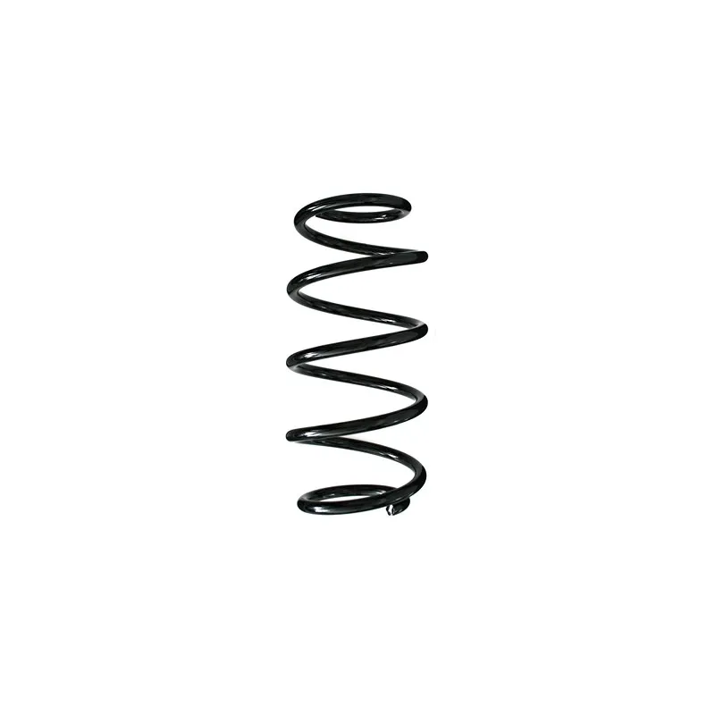 Ressort de suspension SPIDAN 55981
