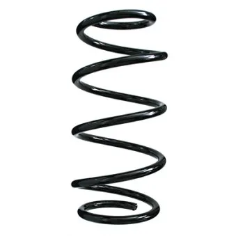 Ressort de suspension SPIDAN 55982