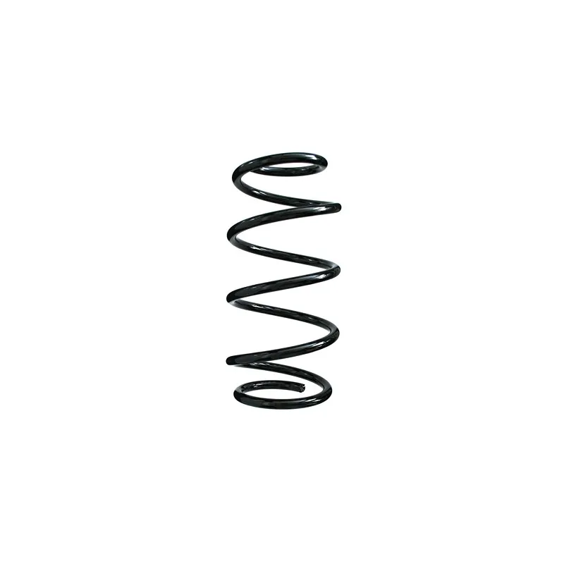 Ressort de suspension SPIDAN 55982