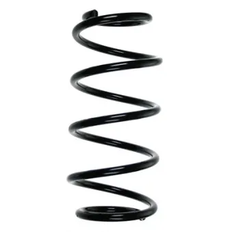 Ressort de suspension SPIDAN 55983