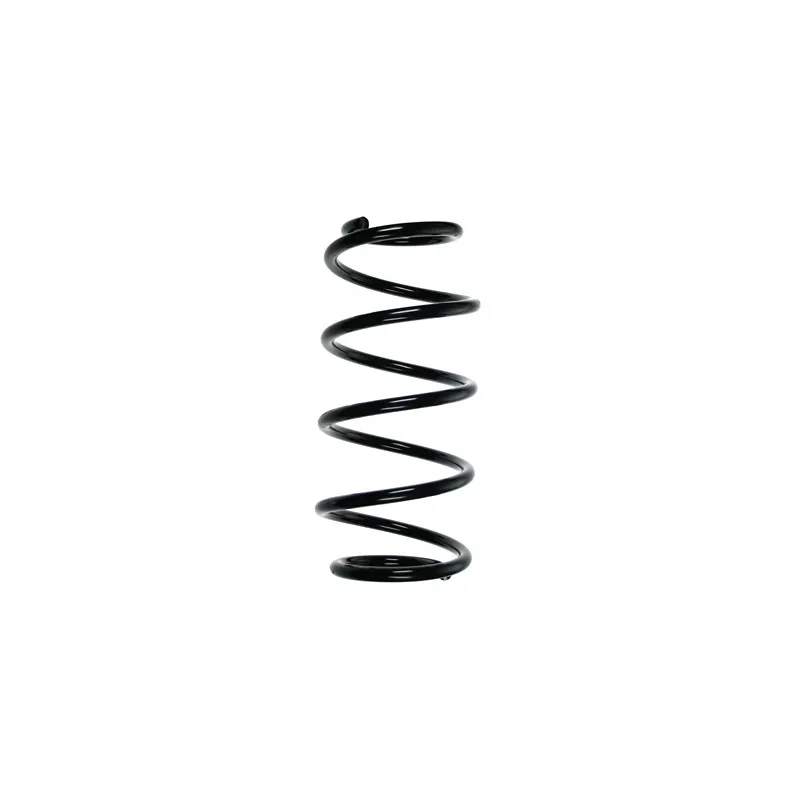 Ressort de suspension SPIDAN 55983