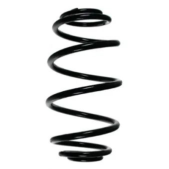Ressort de suspension SPIDAN 55984
