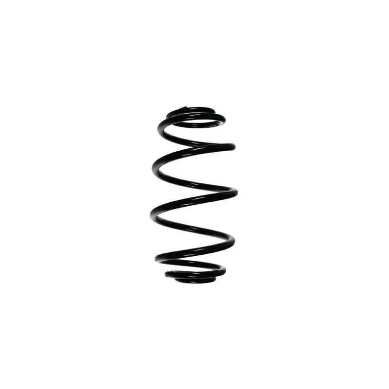 Ressort de suspension SPIDAN 55984