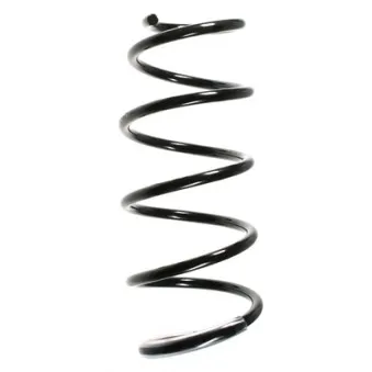 Ressort de suspension SPIDAN 55986