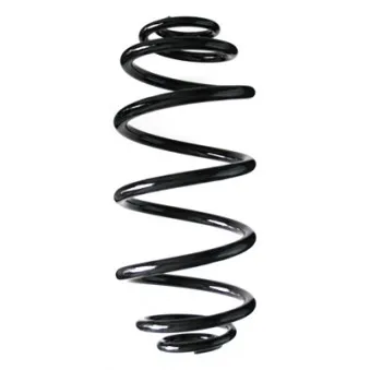 Ressort de suspension SPIDAN 55991