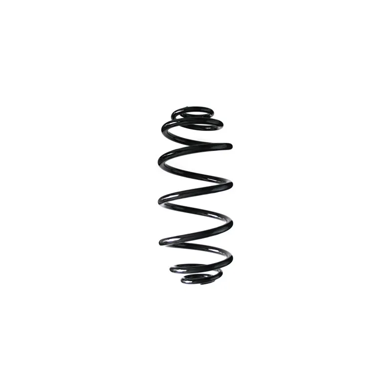 Ressort de suspension SPIDAN 55991