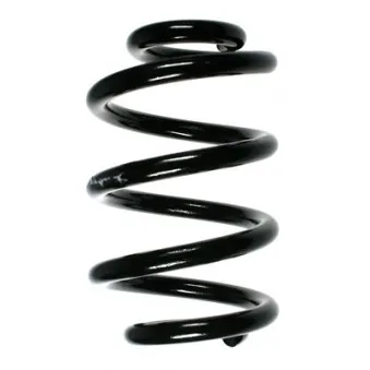 Ressort de suspension SPIDAN 55996