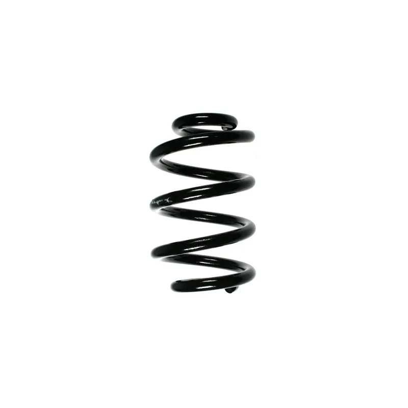 Ressort de suspension SPIDAN 55996