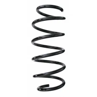 Ressort de suspension SPIDAN 56001