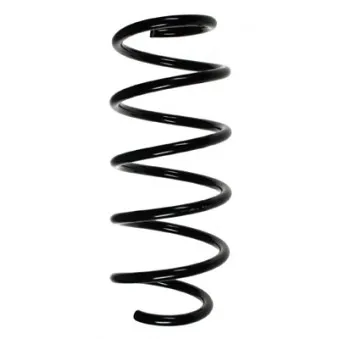 Ressort de suspension SPIDAN 56002