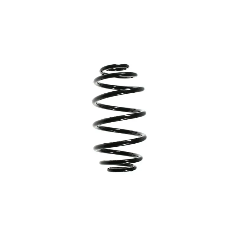 Ressort de suspension SPIDAN 56005