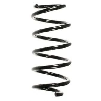 Ressort de suspension SPIDAN 56008