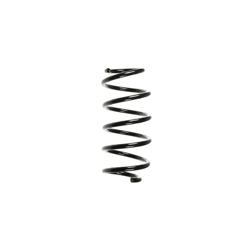 Ressort de suspension SPIDAN 56008