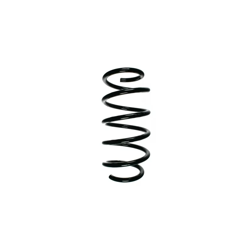 Ressort de suspension SPIDAN 56009