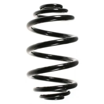 Ressort de suspension SPIDAN 56010