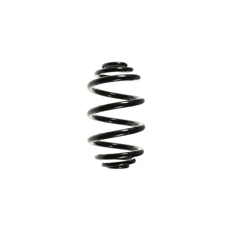 Ressort de suspension SPIDAN 56010