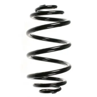 Ressort de suspension SPIDAN 56011