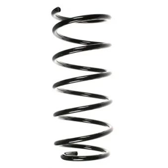 Ressort de suspension SPIDAN 56017