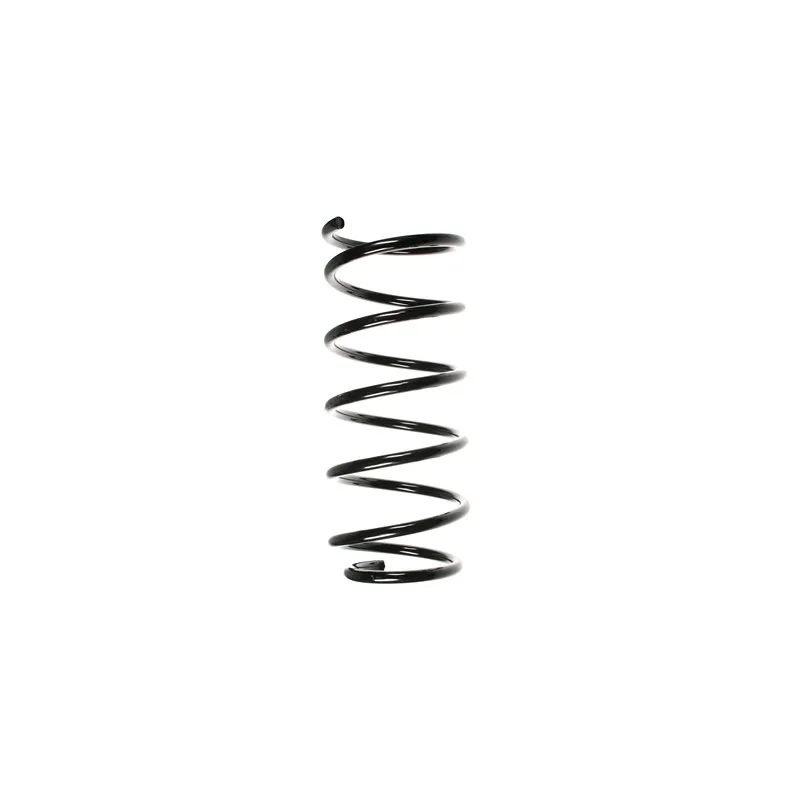 Ressort de suspension SPIDAN 56017