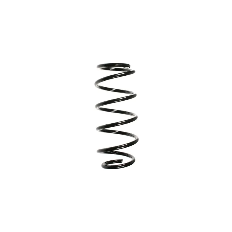 Ressort de suspension SPIDAN 56024