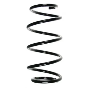 Ressort de suspension SPIDAN 56025