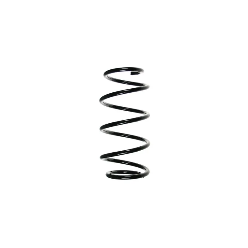 Ressort de suspension SPIDAN 56025