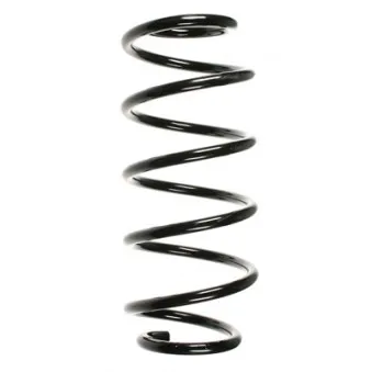Ressort de suspension SPIDAN 56029