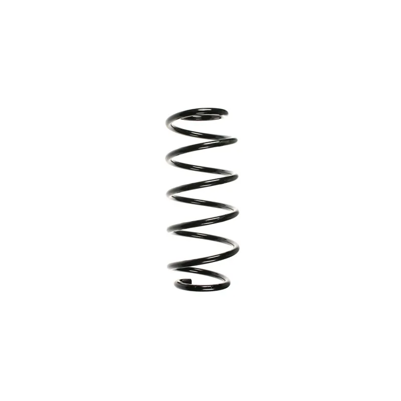 Ressort de suspension SPIDAN 56029