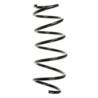 Ressort de suspension SPIDAN 56032